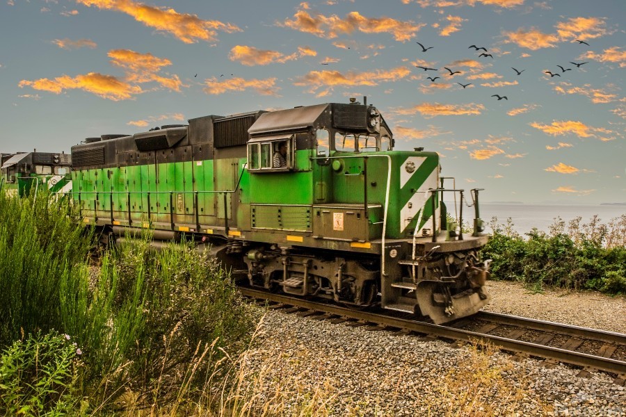 クラシック The Art of Daniel Berenboim クラシック The Art of Daniel Berenboim クラシック The Art of